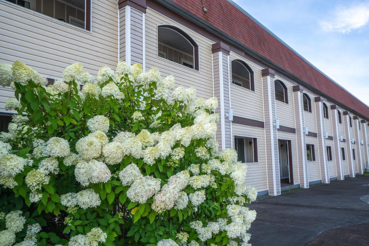 All Seasons Inn & Suites Bourne Exterior photo